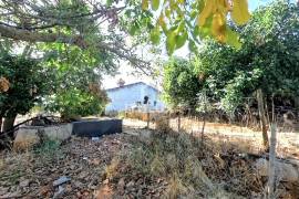 Farm with 32,500 m2 in Elvas-Alentejo- Portugal