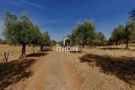 Farm with 32,500 m2 in Elvas-Alentejo- Portugal Farm with 32,500 m2 in Elvas-Alentejo- Portugal