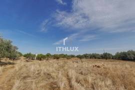 Farm with 32,500 m2 in Elvas-Alentejo- Portugal Farm with 32,500 m2 in Elvas-Alentejo- Portugal