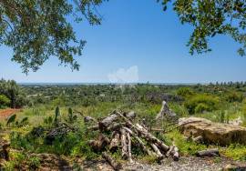 2 ruins on 37,890 m² of land with fabulous sea views, near Moncararpacho 2 ruins on 37,890 m² of land with fabulous sea views, near Moncararpacho
