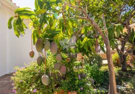 Detached,  traditional 4  bedroom country house with charm . Near Sao Brás de Alportel Detached,  traditional 4  bedroom country house with charm . Near Sao Brás de Alportel