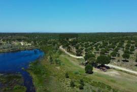 Plot with PIP Approved for 800 m² Villa in Santo Estêvão