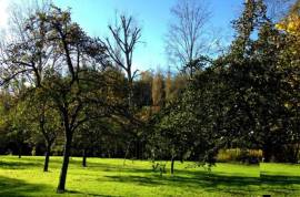 Huge Property Complex in Lots of Land Huge Property Complex in Lots of Land