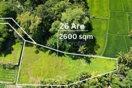 Exclusive 2600 sqm Land with Mesmerizing Rice Field Views in Mas, Ubud