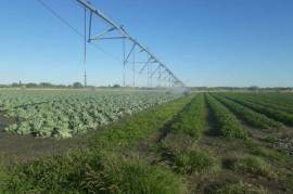 Irrigation Small Holding For Sale in Tsumeb Area