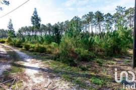 Terreno Agrícola em Marinha Grande
