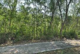 Cabo Norte Lot $4,750,000 MXN