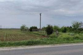 Land for sale 7500 sqm in Cazasu, Braila