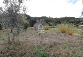 Single storey house with attic and 3,000 m² of land – Chão de Couce, Ansião