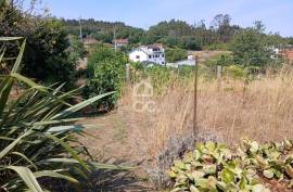 Farmhouse Oliveira de Frades Farmhouse Oliveira de Frades