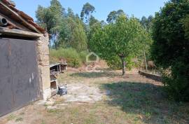 Farmhouse Oliveira de Frades Farmhouse Oliveira de Frades