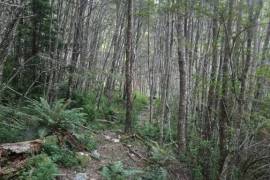 Excellent Plot of land for sale in Cochrane Chilean Patagonia Chile Excellent Plot of land for sale in Cochrane Chilean Patagonia Chile