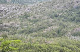 Excellent Plot of land for sale in Cochrane Chilean Patagonia Chile Excellent Plot of land for sale in Cochrane Chilean Patagonia Chile
