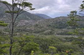 Excellent Plot of land for sale in Cochrane Chilean Patagonia Chile Excellent Plot of land for sale in Cochrane Chilean Patagonia Chile