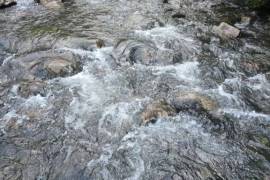 Excellent Plot of land for sale in Cochrane Chilean Patagonia Chile Excellent Plot of land for sale in Cochrane Chilean Patagonia Chile