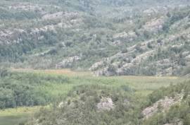 Excellent Plot of land for sale in Cochrane Chilean Patagonia Chile Excellent Plot of land for sale in Cochrane Chilean Patagonia Chile