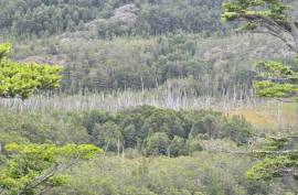 Excellent Plot of land for sale in Cochrane Chilean Patagonia Chile Excellent Plot of land for sale in Cochrane Chilean Patagonia Chile