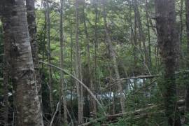 Excellent Plot of land for sale in Cochrane Chilean Patagonia Chile Excellent Plot of land for sale in Cochrane Chilean Patagonia Chile