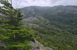 Excellent Plot of land for sale in Cochrane Chilean Patagonia Chile Excellent Plot of land for sale in Cochrane Chilean Patagonia Chile