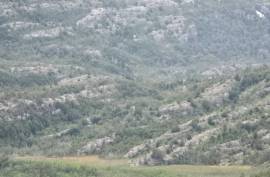 Excellent Plot of land for sale in Cochrane Chilean Patagonia Chile Excellent Plot of land for sale in Cochrane Chilean Patagonia Chile