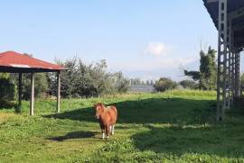 Traditional Italian House for Sale In CASTEL RITALDI Italy