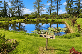 Stunning 2 Bed House For Sale Ballintubber Roscommon Ireland