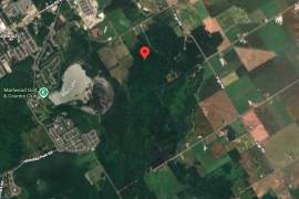 Excellent Plot of land for sale in Springwater, Ontario Canada Excellent Plot of land for sale in Springwater, Ontario Canada