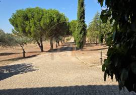 Villa Vila Flor Villa Vila Flor