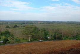 9988 Sq.m. of Land with Sea Views in Mai Khao