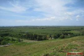 9988 Sq.m. of Land with Sea Views in Mai Khao 9988 Sq.m. of Land with Sea Views in Mai Khao