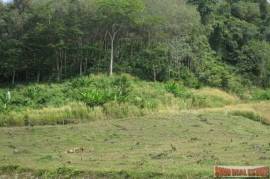 9988 Sq.m. of Land with Sea Views in Mai Khao 9988 Sq.m. of Land with Sea Views in Mai Khao