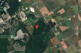 Excellent Plot of land for sale in Springwater, Ontario Canada