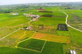 Agricultural Field in Liopetri, Famagusta