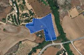 Large Land for Sale in Mosfiloti, Larnaca