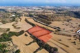 Agricultural Land in Maroni Village, Larnaca