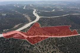 Agricultural Field for Sale in Alethriko Village, Larnaca