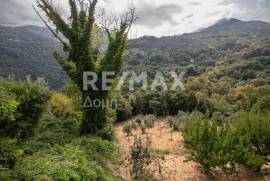 House 66 sq.m for sale House 66 sq.m for sale