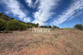 Plot 4640 m2 in D ́Gorda in Óbidos Plot 4640 m2 in D ́Gorda in Óbidos