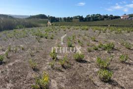 Rustic Land for Agriculture located in D'Gorda de Óbidos Rustic Land for Agriculture located in D'Gorda de Óbidos