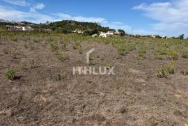 Rustic Land for Agriculture located in D'Gorda de Óbidos Rustic Land for Agriculture located in D'Gorda de Óbidos