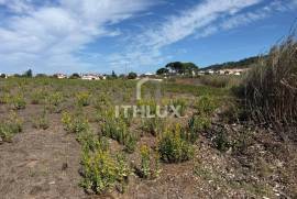 Rustic Land for Agriculture located in D'Gorda de Óbidos Rustic Land for Agriculture located in D'Gorda de Óbidos