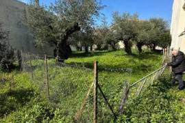 Excellent Plot of land for sale in Kalamata Palaioxora, Avia, Messinia Greece Excellent Plot of land for sale in Kalamata Palaioxora, Avia, Messinia Greece