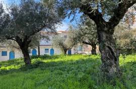 Excellent Plot of land for sale in Kalamata Palaioxora, Avia, Messinia Greece Excellent Plot of land for sale in Kalamata Palaioxora, Avia, Messinia Greece