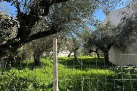Excellent Plot of land for sale in Kalamata Palaioxora, Avia, Messinia Greece Excellent Plot of land for sale in Kalamata Palaioxora, Avia, Messinia Greece