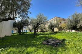 Excellent Plot of land for sale in Kalamata Palaioxora, Avia, Messinia Greece Excellent Plot of land for sale in Kalamata Palaioxora, Avia, Messinia Greece