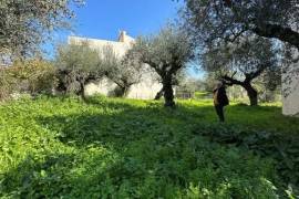 Excellent Plot of land for sale in Kalamata Palaioxora, Avia, Messinia Greece Excellent Plot of land for sale in Kalamata Palaioxora, Avia, Messinia Greece