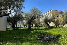 Excellent Plot of land for sale in Kalamata Palaioxora, Avia, Messinia Greece Excellent Plot of land for sale in Kalamata Palaioxora, Avia, Messinia Greece