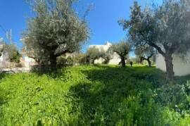 Excellent Plot of land for sale in Kalamata Palaioxora, Avia, Messinia Greece Excellent Plot of land for sale in Kalamata Palaioxora, Avia, Messinia Greece