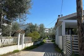 Excellent Plot of land for sale in Kalamata Palaioxora, Avia, Messinia Greece Excellent Plot of land for sale in Kalamata Palaioxora, Avia, Messinia Greece