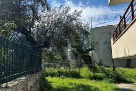 Excellent Plot of land for sale in Kalamata Palaioxora, Avia, Messinia Greece Excellent Plot of land for sale in Kalamata Palaioxora, Avia, Messinia Greece